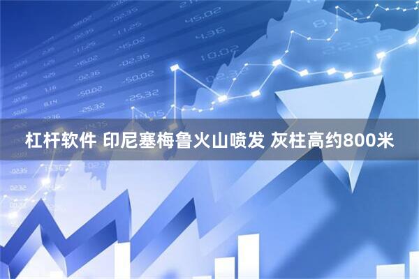 杠杆软件 印尼塞梅鲁火山喷发 灰柱高约800米
